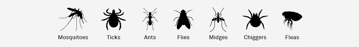 List of insects in black with white background.  Insects are: Mosquitoes, Ticks, Ants, Flies, Midges, Chiggers, Fleas.  Each with accompanying silhouette of each insect.
